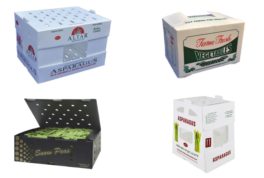 Danpla Plastic Produce & Fruit Packaging Box